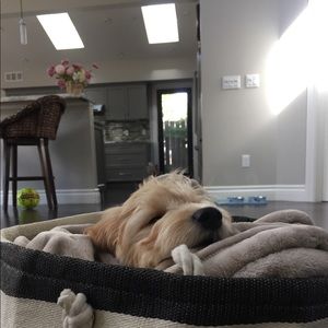 Meet your Posher, Lexi